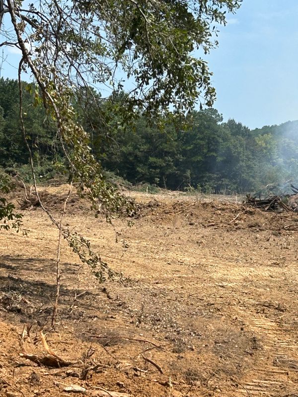 Site Preparation