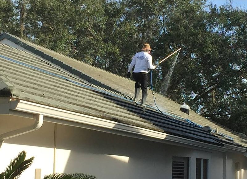 Revitalizing Tampa Palms: Blue Stream's Premium Tile Roof Cleaning