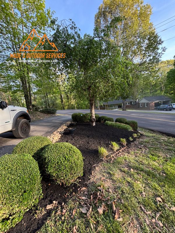 Plant & Shrub Installations