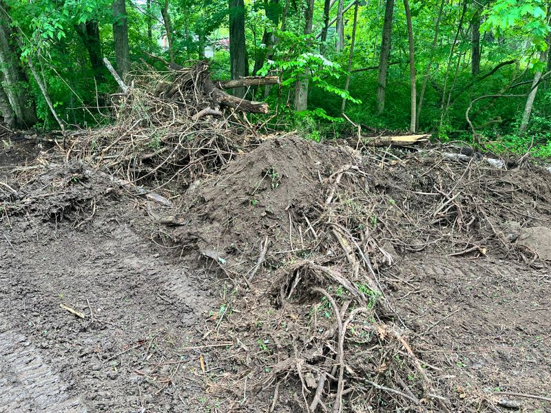 Brush & Tree Removal