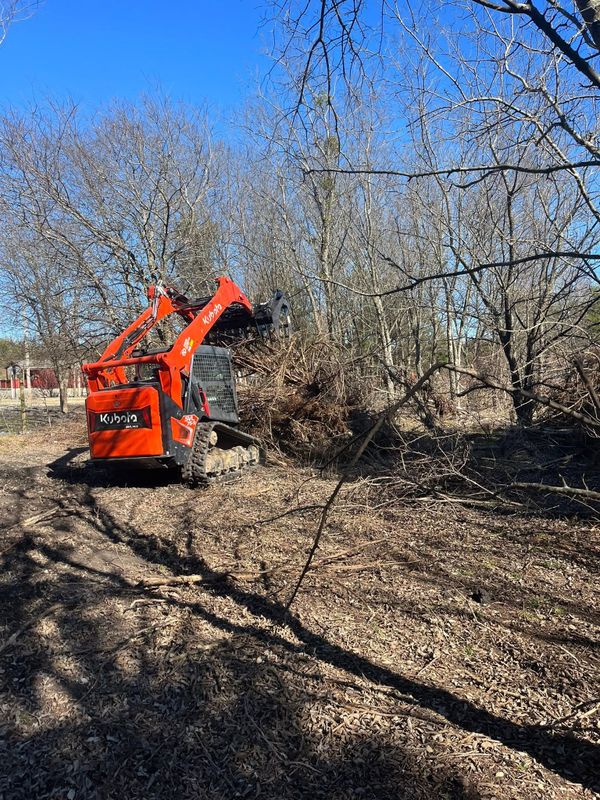 Skid Steer Work