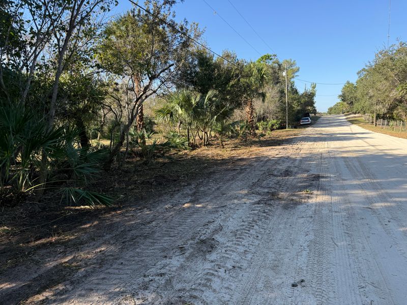Land Clearing