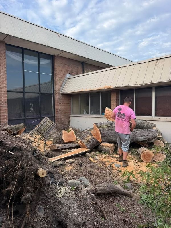Tree Removal