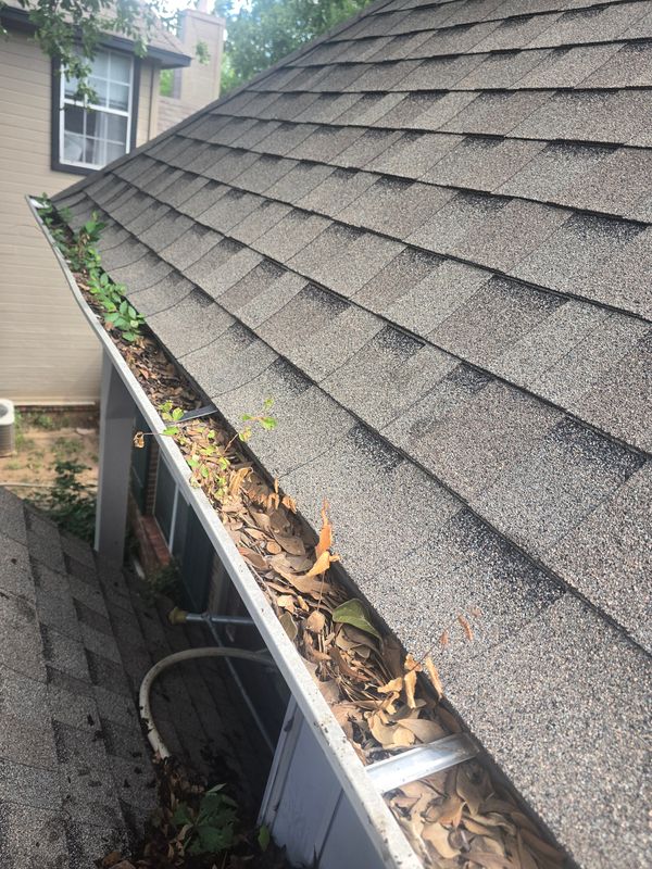 Gutter Cleaning