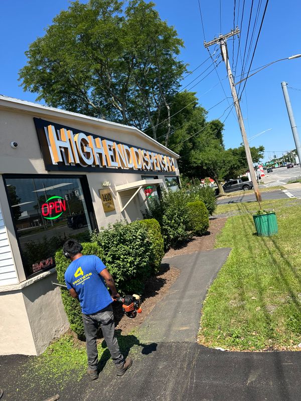 Shrub Trimming