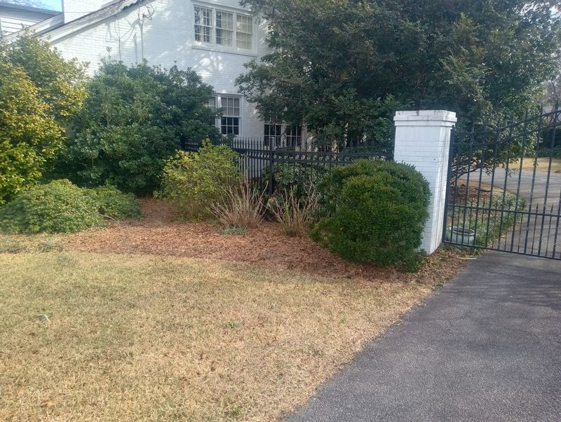 Landscape Design