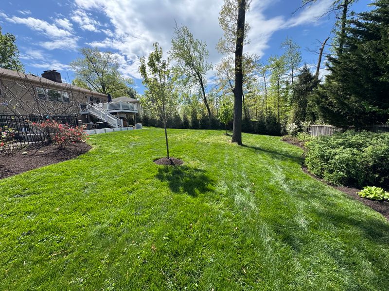 Lawn Care & Maintenance