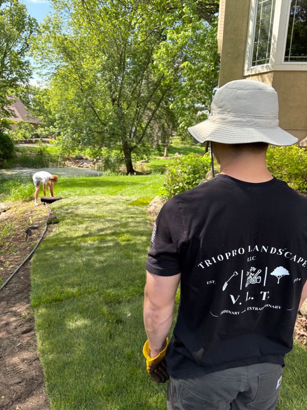 Sod Installation