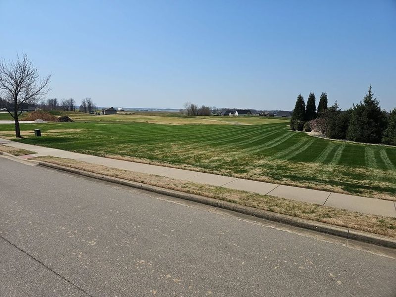 Lawn Maintenance Service