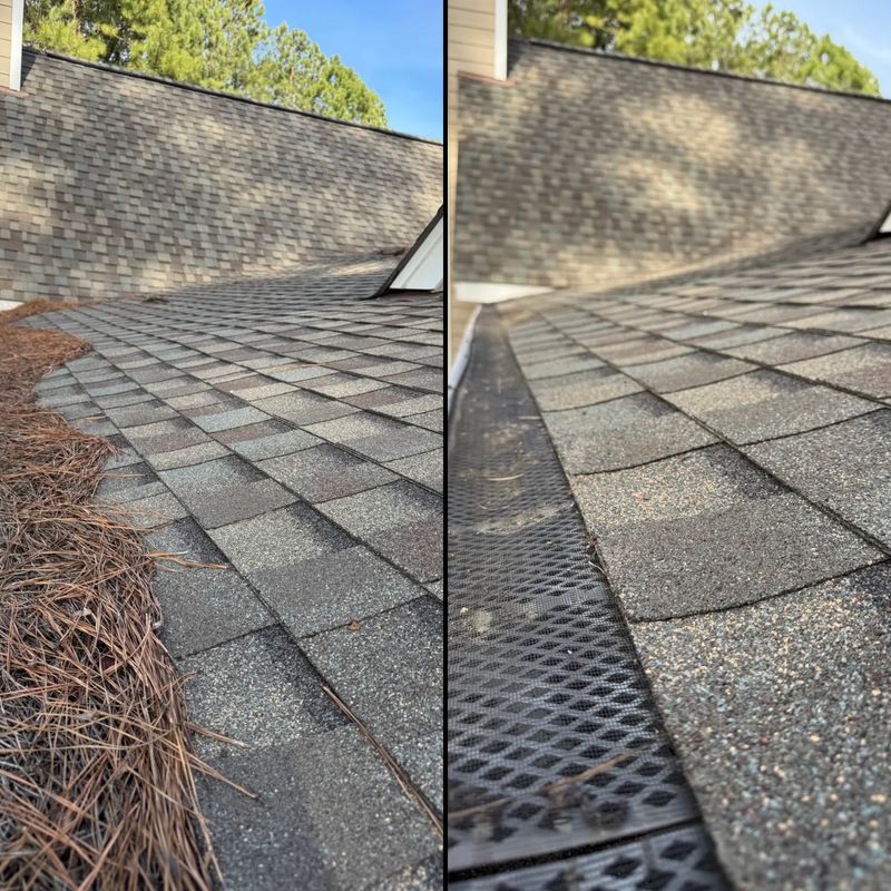 Gutter Cleaning 