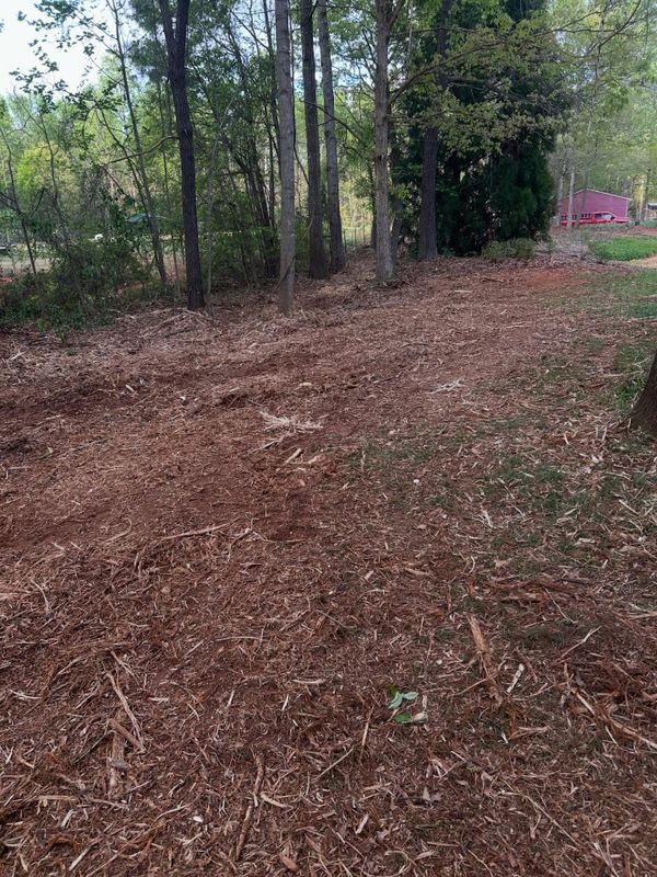 Land Clearing