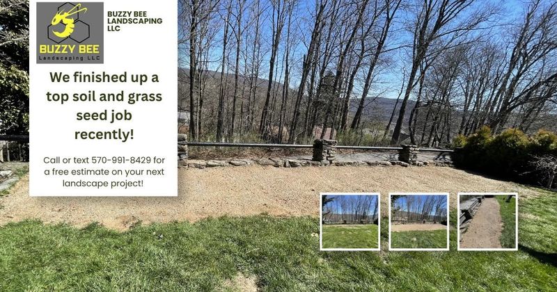 Lawn Maintenance