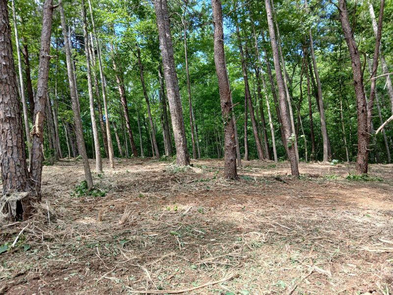 Forestry Mulching