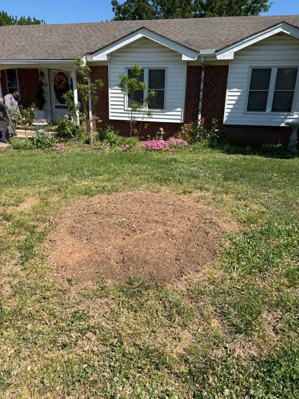 Stump Removal