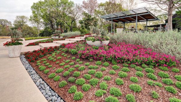 Landscape Design