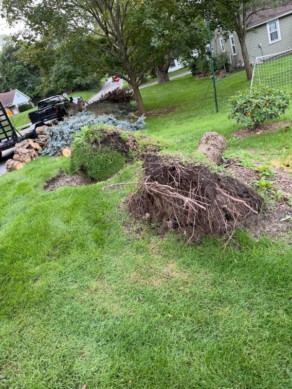 Land Clearing and Site Preparation