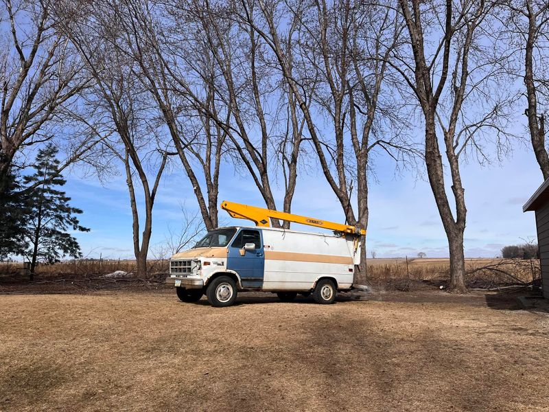 Tree Removal