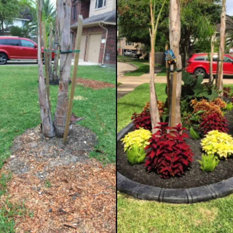 Landscape Border Systems