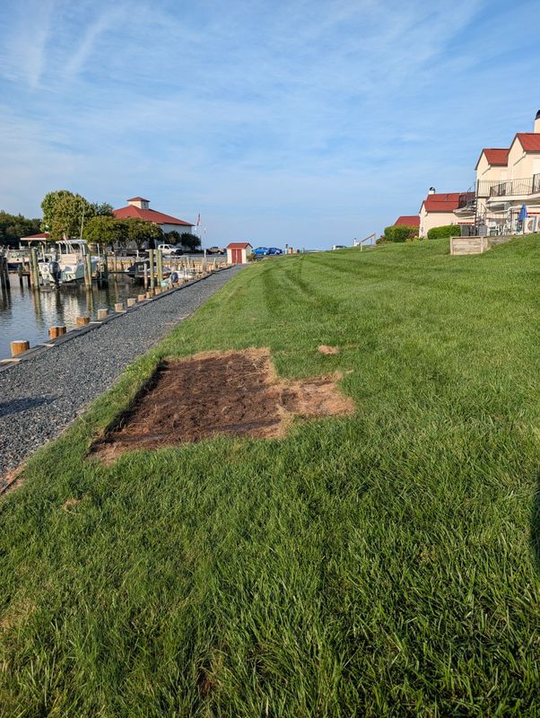 Clark's Grasscutting