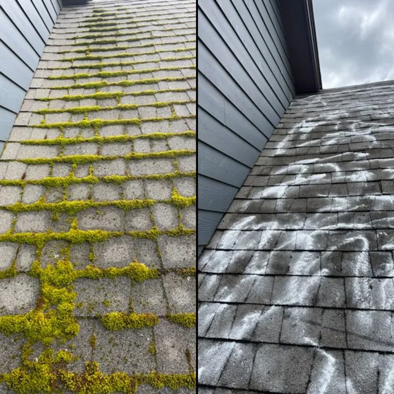 Moss Removal