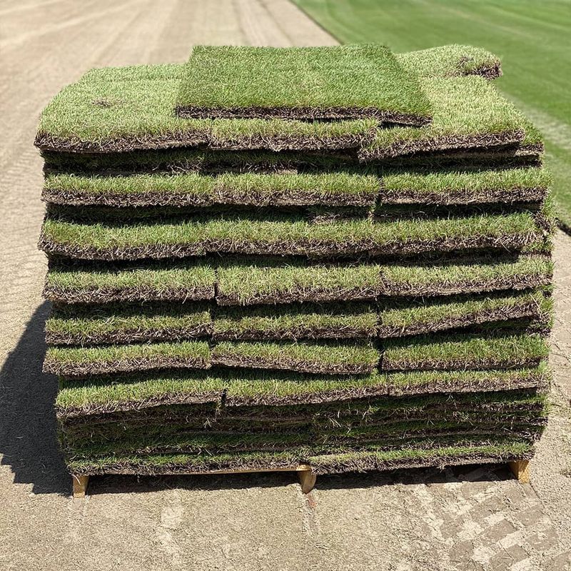 Sod Installation