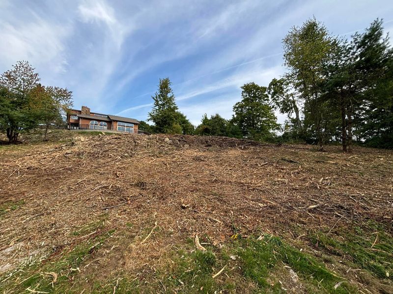 Forestry Mulching