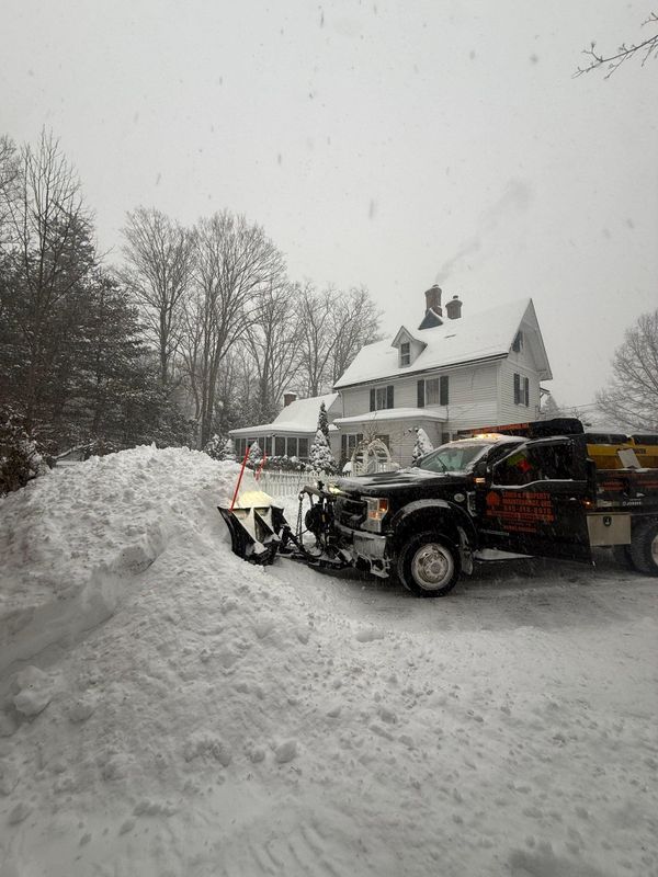 Snow Removal