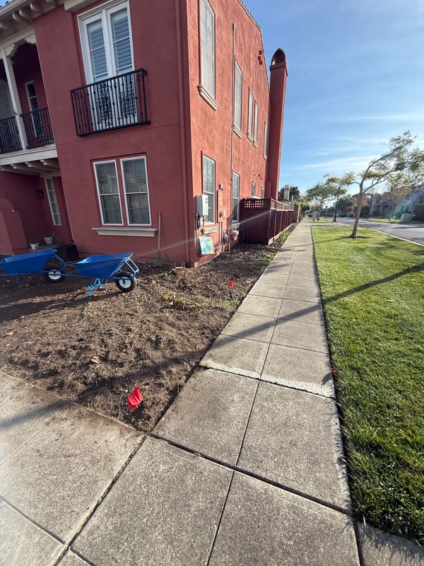 Landscaping