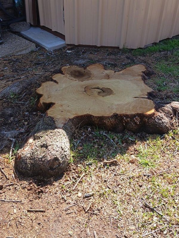 Tree Removal