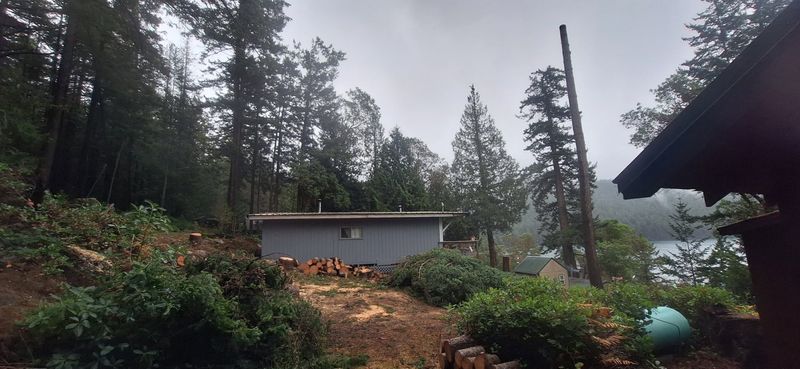Tree Removal