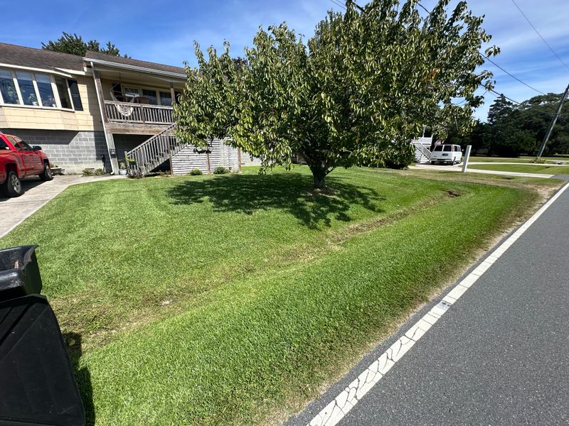Mowing