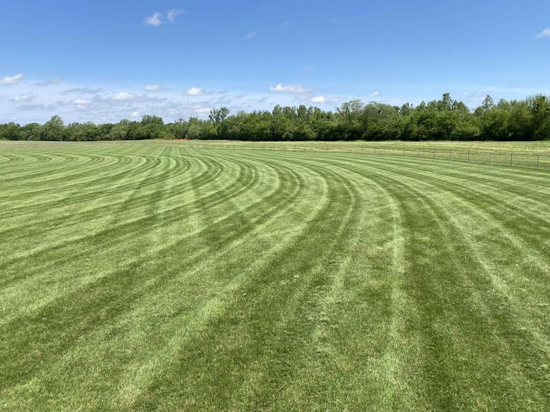 Mowing