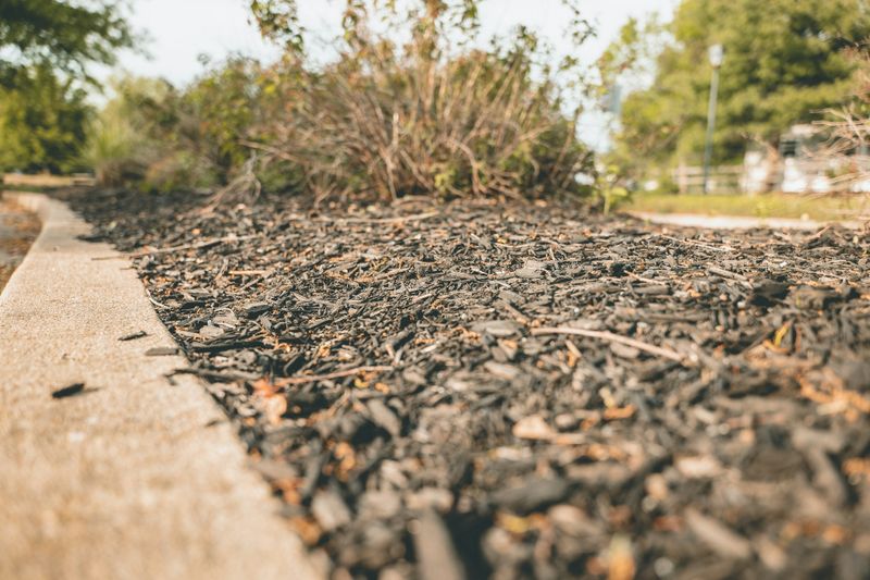 Mulching