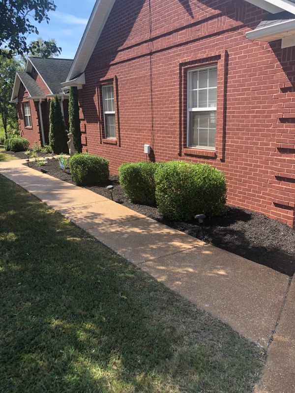 Lawn Maintenance