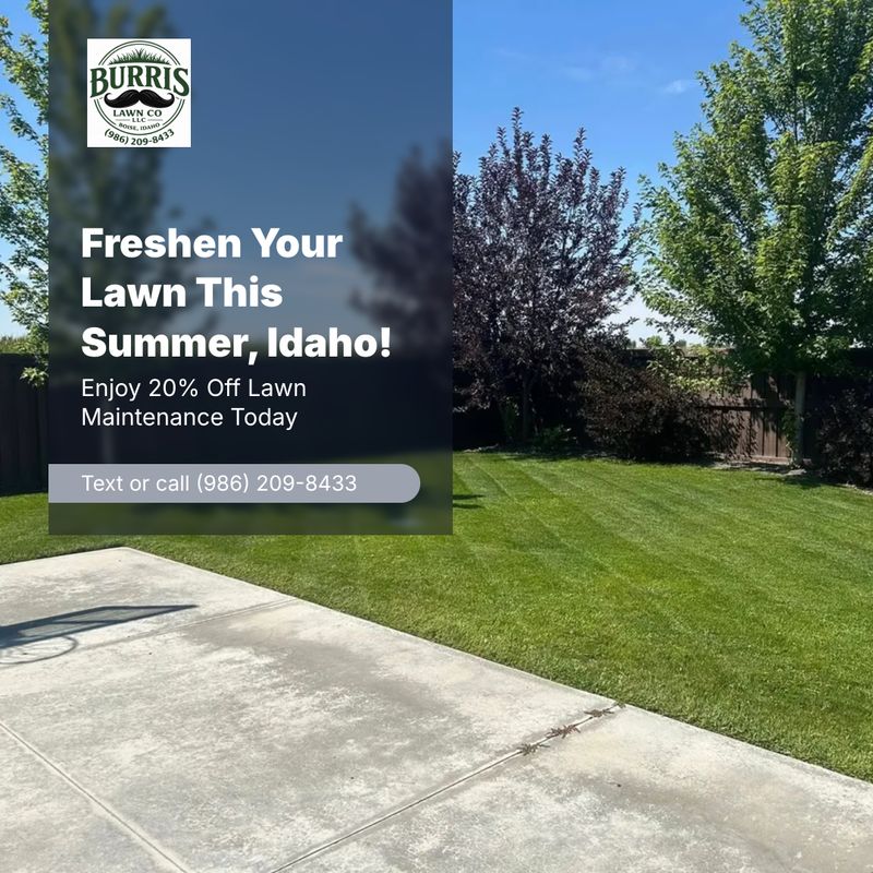Lawn Mowing and Maintenance