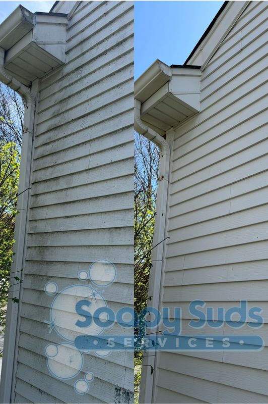 Home Softwash