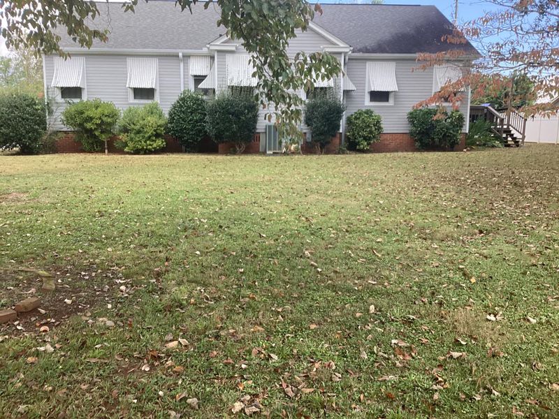 Fall and Spring Clean Up