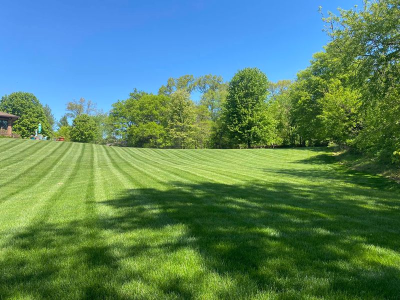 Lawn Mowing