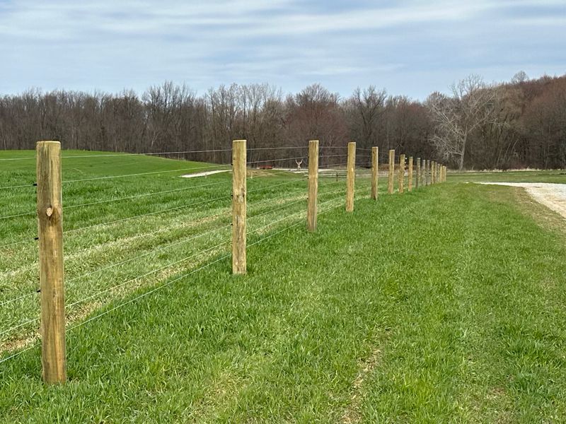 Fencing
