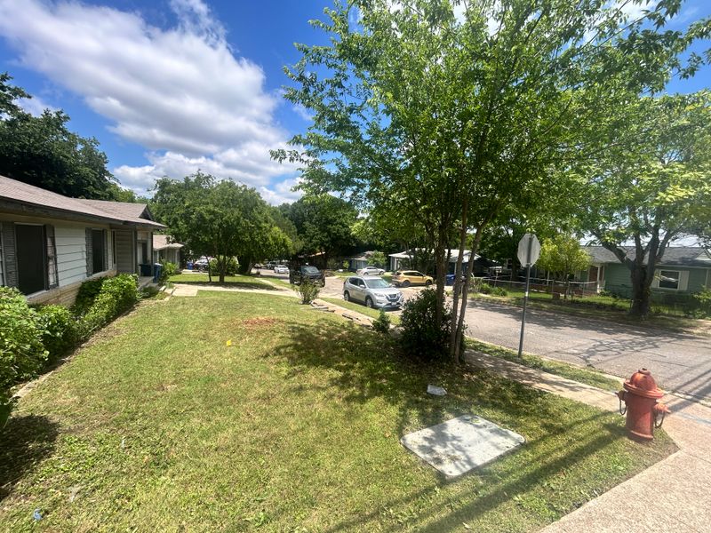 Shrubbery trimming and removal
