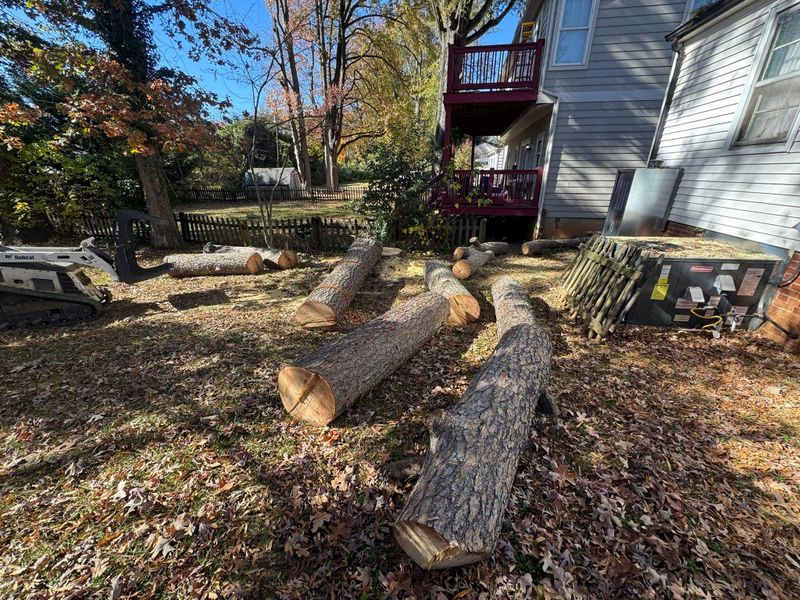Stump Removal