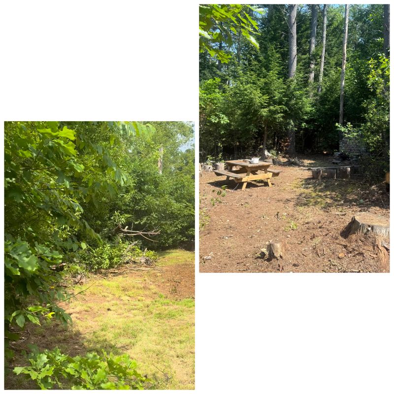 Brush Removal