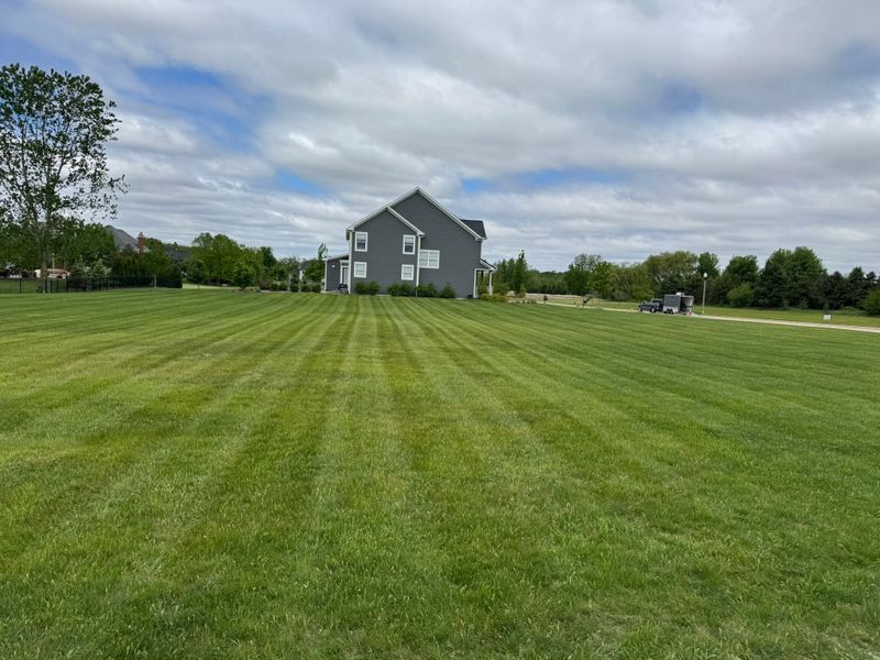 Lawn Mowing