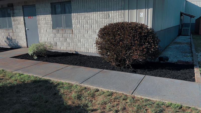 Shrub Trimming