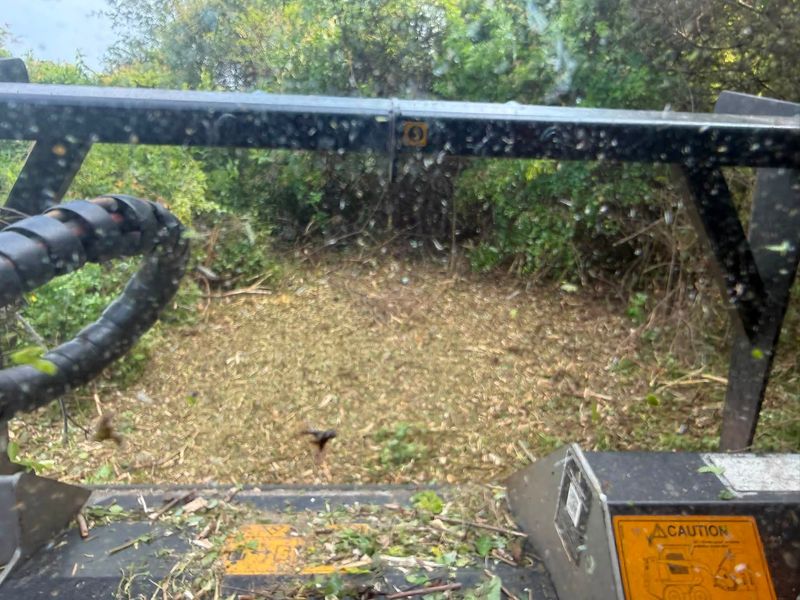 Land Clearing