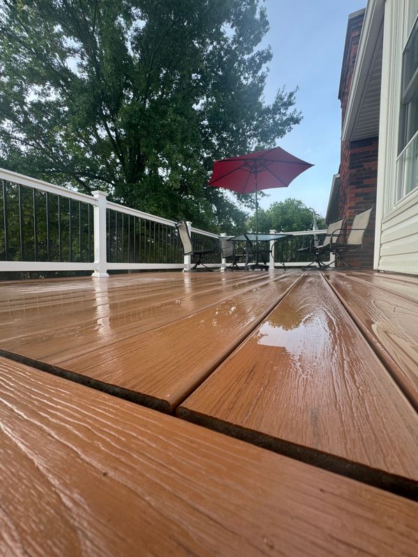 Deck & Fence Cleaning