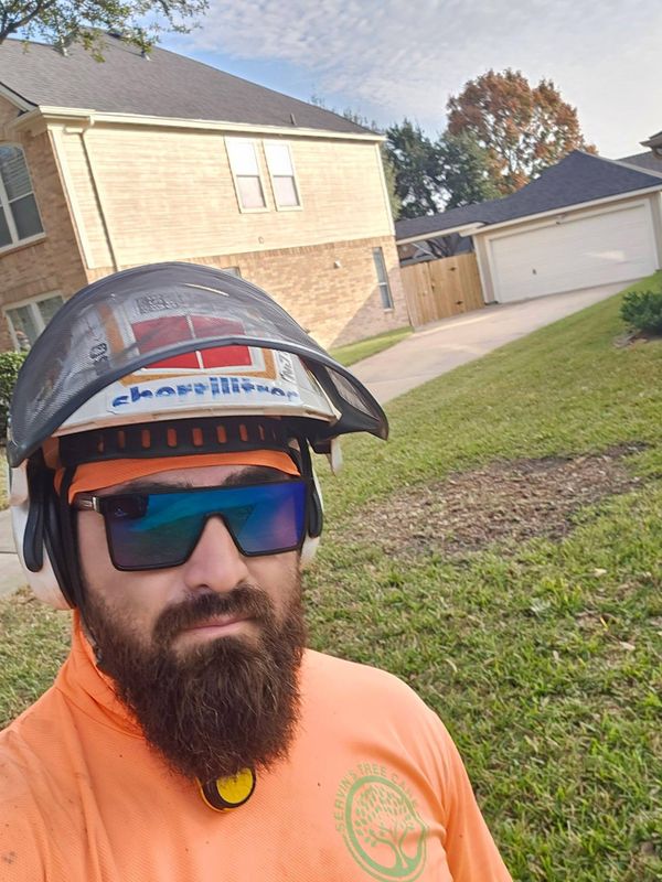 Tree Trimming