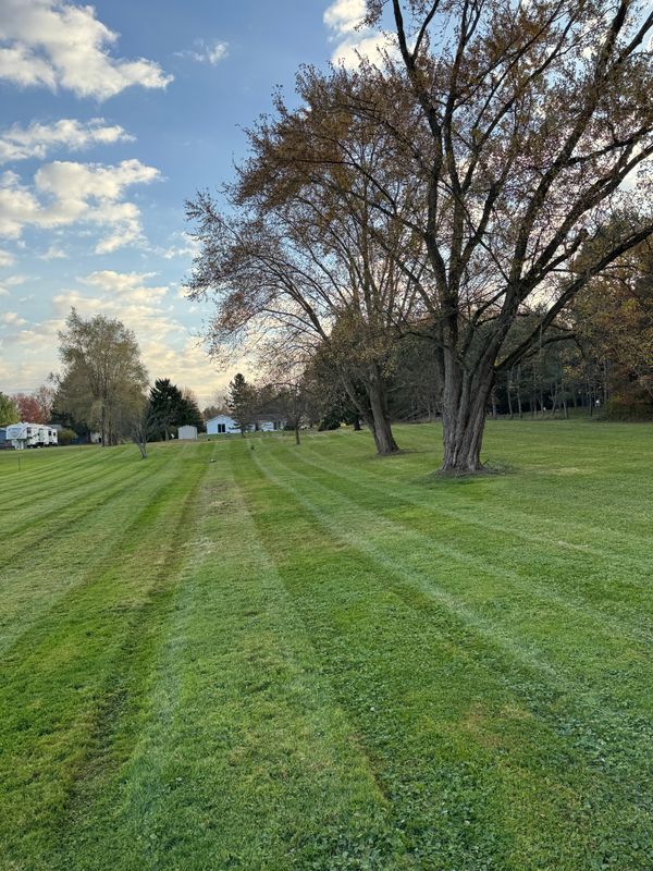 Mowing