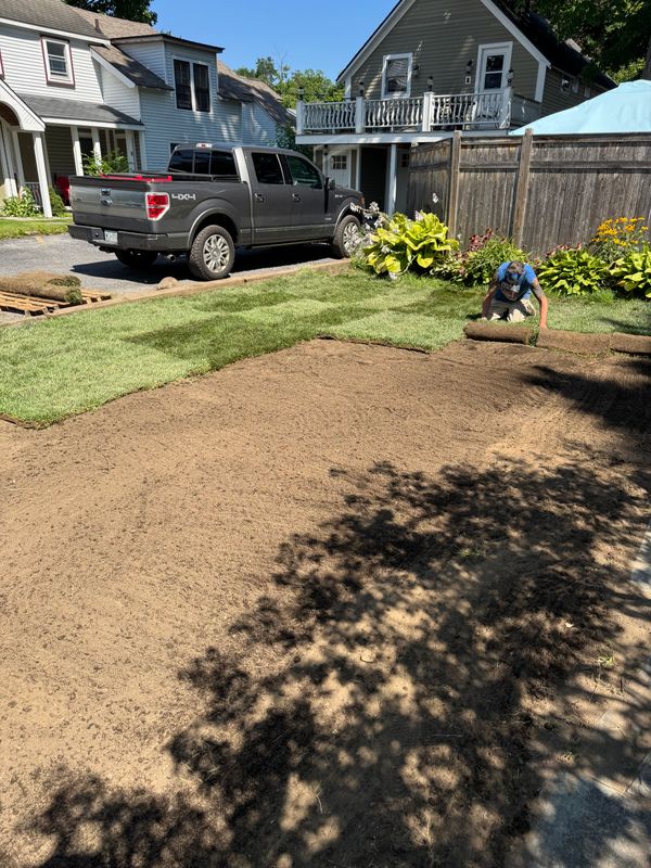 Sodding