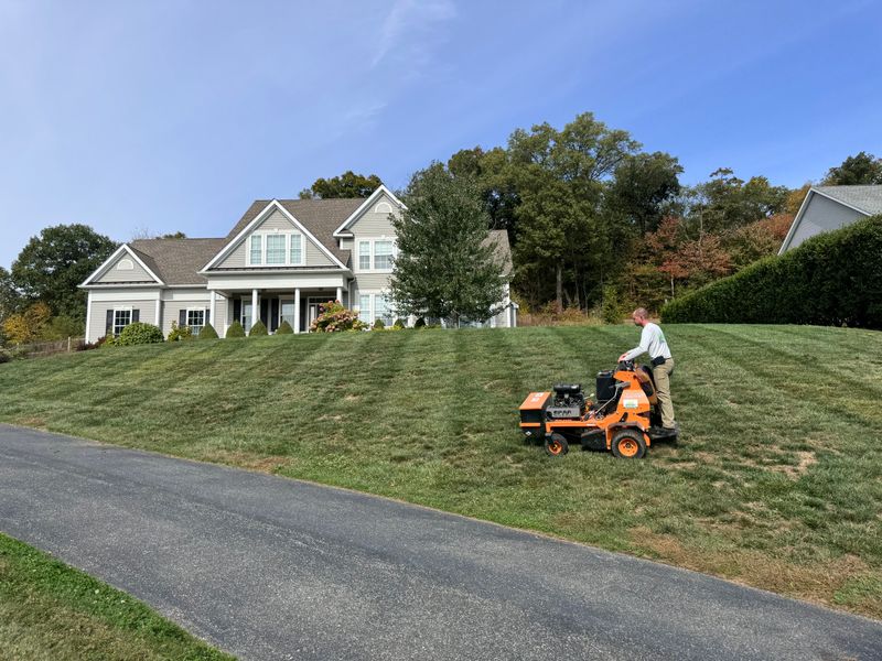 Aerating and overseeding